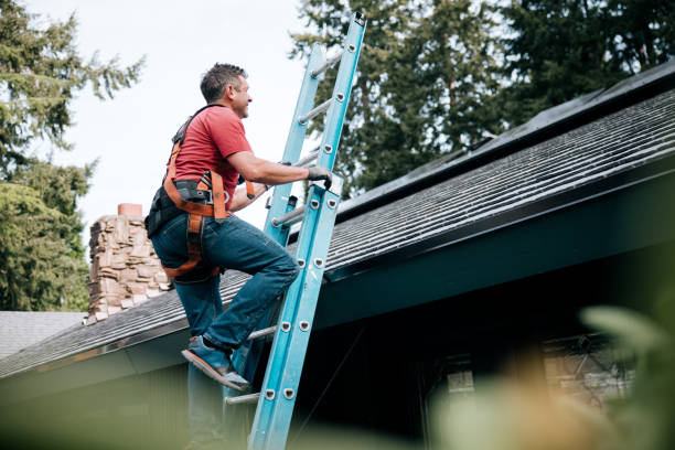 Best Storm Damage Roof Repair  in Cedaredge, CO